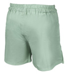 Okami Logo Fightshorts -mint